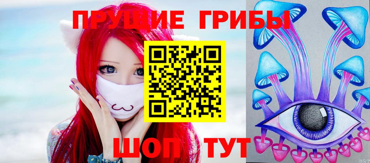 Галлюциногенные грибы мухоморы  Камень-на-Оби 