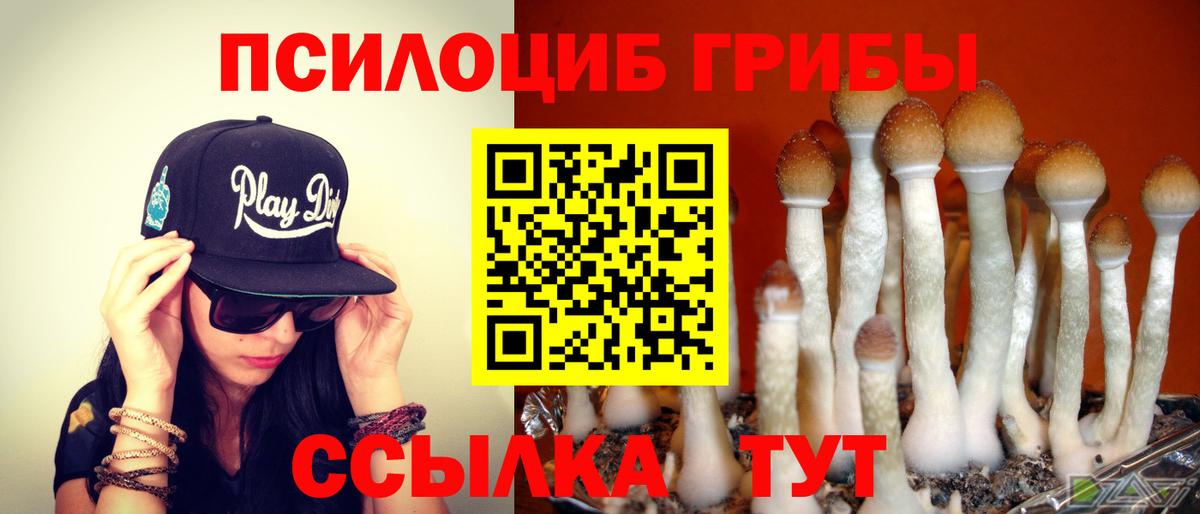 Камень-на-Оби  Псилоцибиновые грибы Psilocybe  Галлюциногенные грибы Magic Shrooms  Вход с VPN 